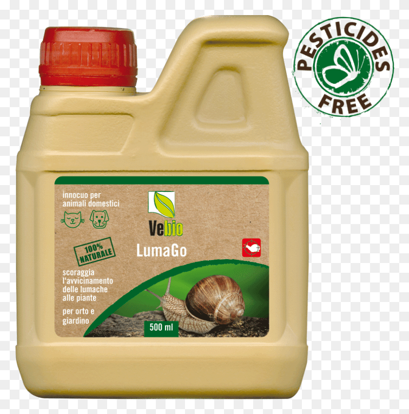 790x801 Luma Go Snails And Slugs, Box, Animal, Invertebrate HD PNG Download