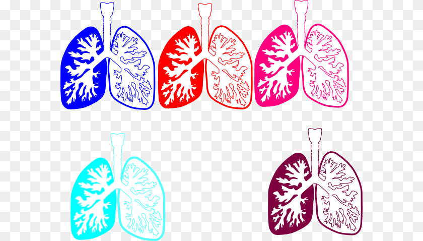 600x478 Lung Color Tika Hp Due Clip Art, Flower, Petal, Plant Transparent PNG