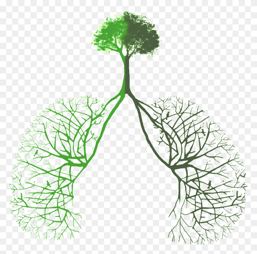 965x954 Lung Opening Made From Green Plants, Plant, Leaf, Potted Plant HD PNG Download