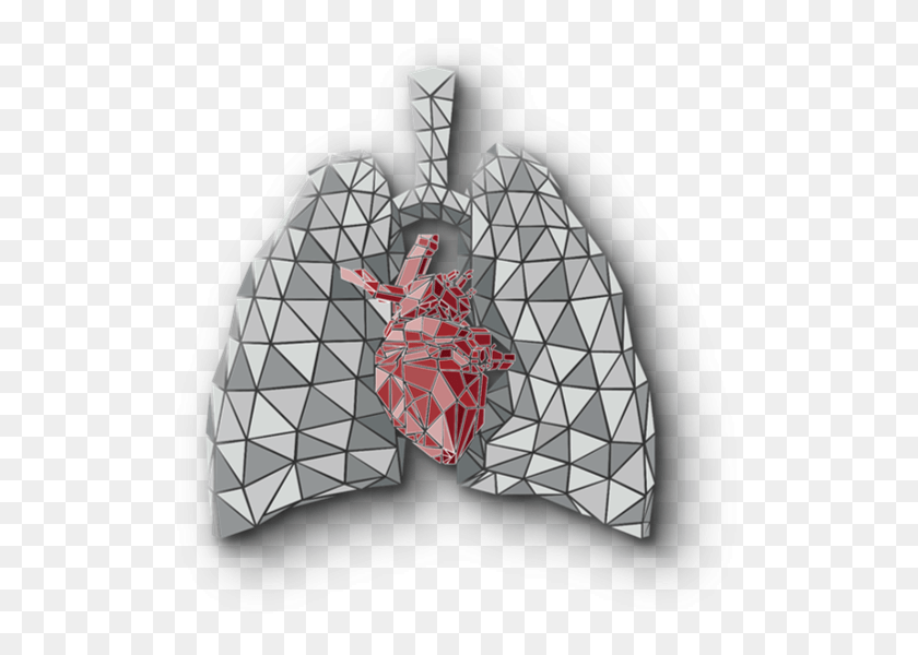 529x540 Lungs Hospital In Hyderabad, Clothing, Apparel, Bird HD PNG Download