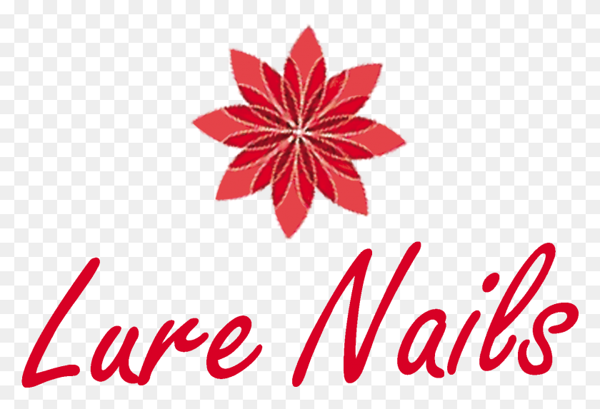 1506x991 Lure Nails, Leaf, Plant, Tree HD PNG Download