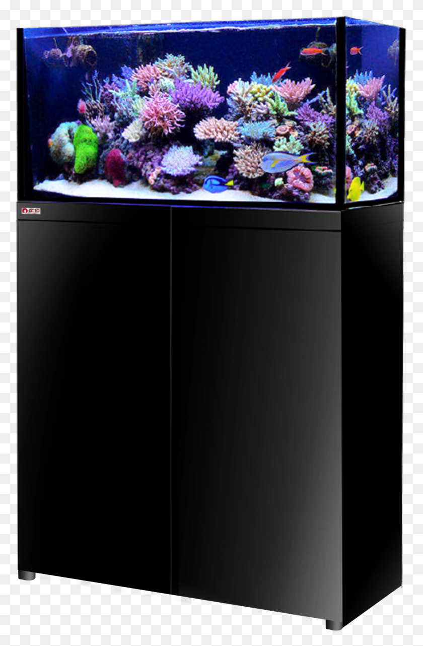 1166x1827 Lux Aquarium Tank System Black Color Aquarium, Machine, Refrigerator, Appliance HD PNG Download