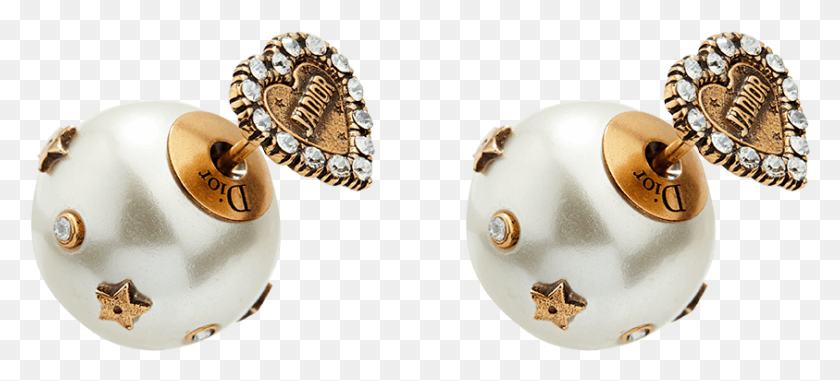 843x348 Luxsure Dior Tribales Bee Earrings, Accessories, Accessory, Jewelry HD PNG Download