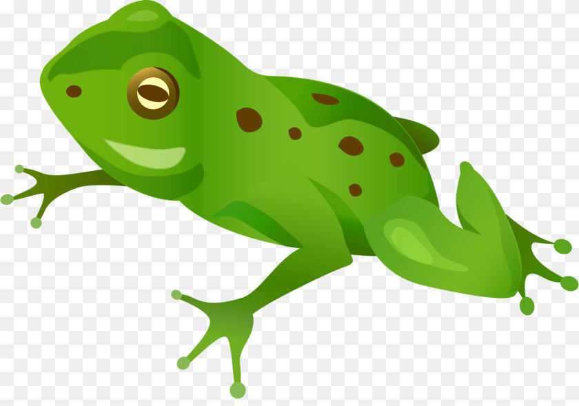 Lyagushka Klipart, Green, Animal, Amphibian, Wildlife Transparent PNG