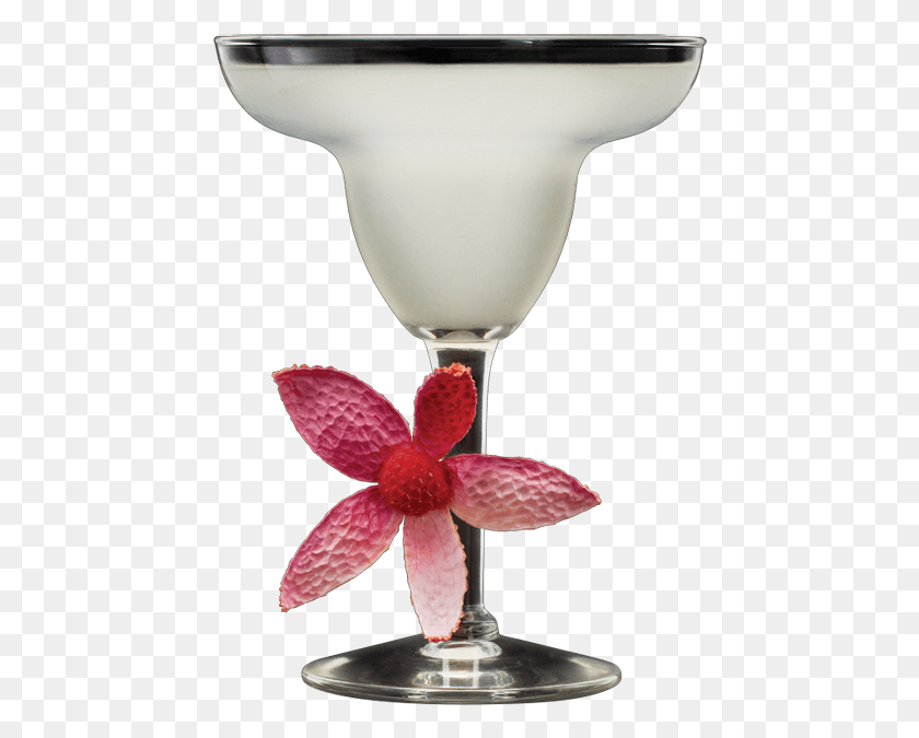 452x615 Lychee Margarita Glass Champagne Stemware, Lamp, Plant, Goblet HD PNG Download