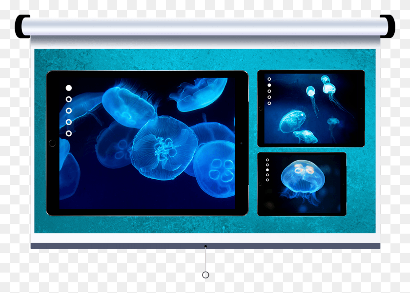 1169x813 Mac Clipart Blue Computer Led Backlit Lcd Display, Jellyfish, Invertebrate, Sea Life HD PNG Download