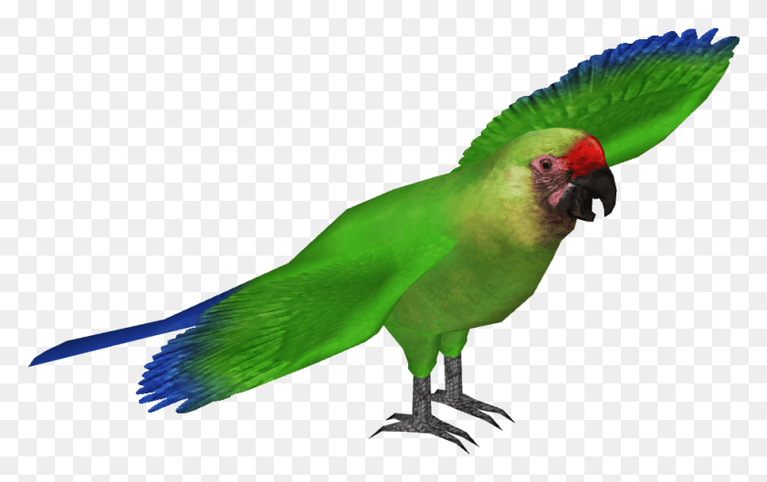 965x579 Macaw Transparent Background Military Macaw, Bird, Animal, Parrot HD PNG Download