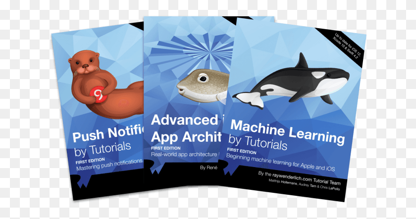 641x383 Machine Learning By Tutorials Great White Shark, Flyer, Poster, Paper HD PNG Download