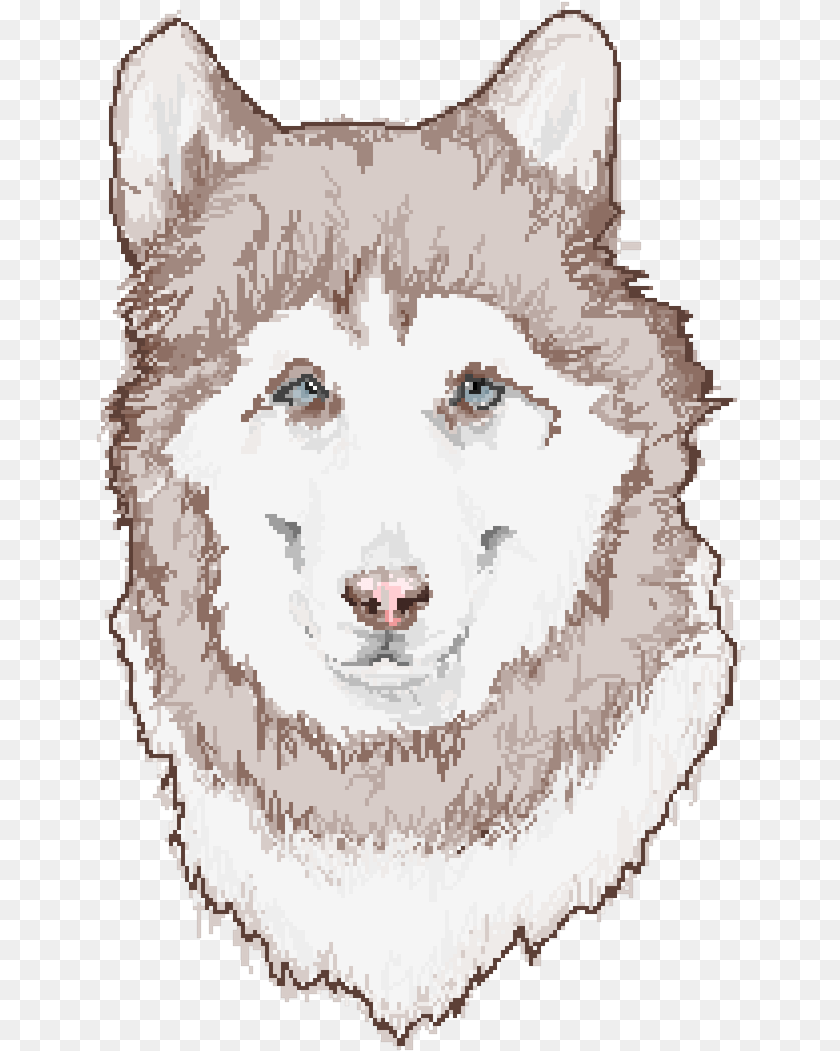 651x1051 Mackenzie River Husky, Animal, Mammal, Pet, Dog Transparent PNG