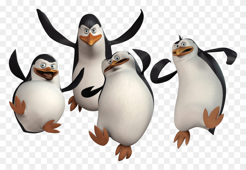 1756x1175 Pingüinos De Madagascar Pingüinos De Madagascar, Pingüino, Pájaro, Animal Hd Png