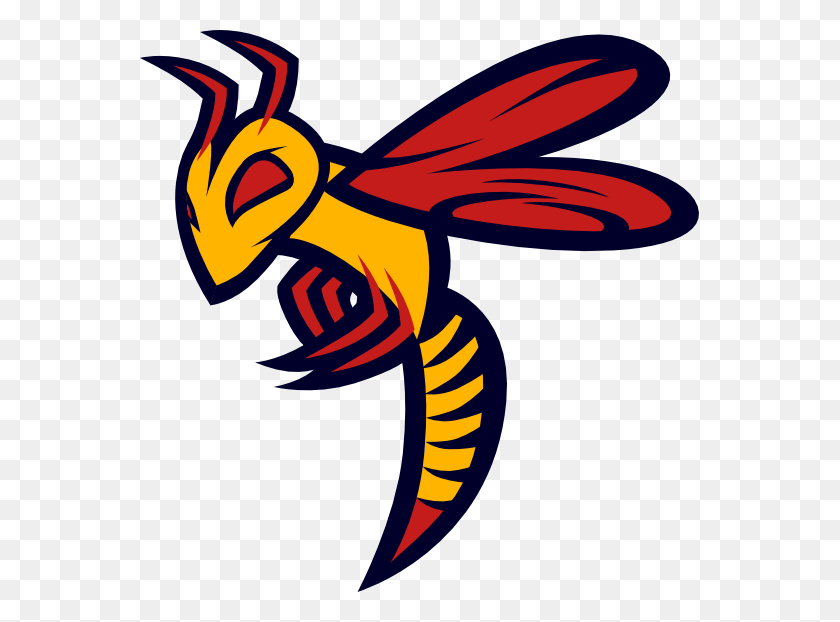 559x562 Made Up Sports Logos, Wasp, Bee, Insect HD PNG Download