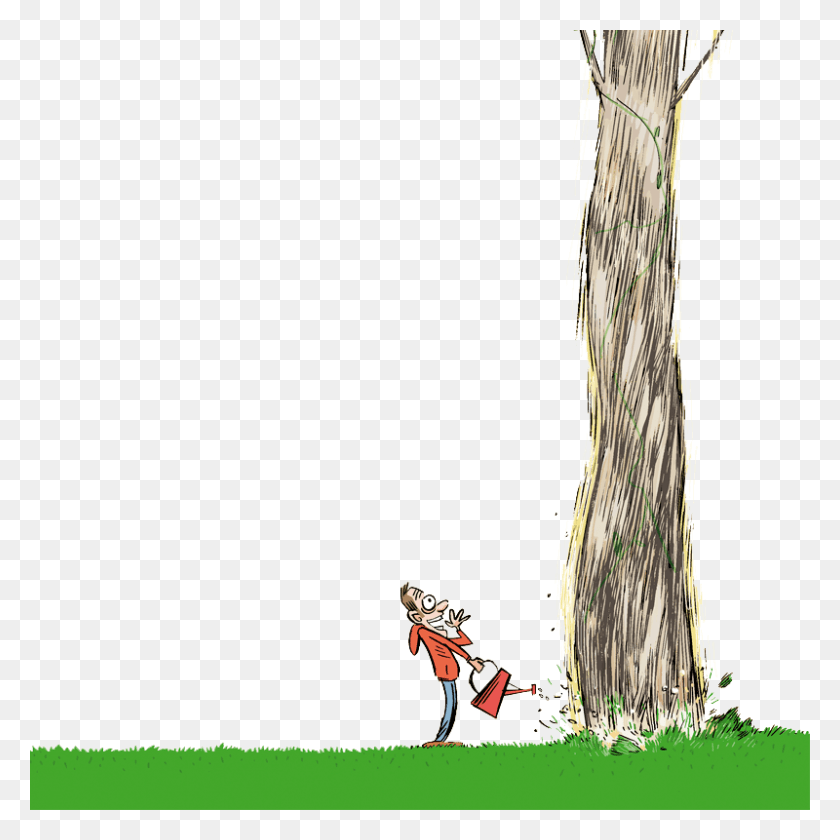 800x800 Мадре Тереза ​​Де Калькута Иллюстрация, Дерево, Растение, Трава Hd Png Скачать