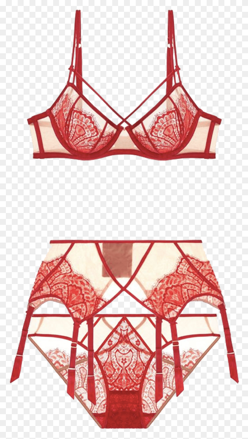 829x1514 Maestra By Dita Von Teese 32 36 B F Lingerie Top, Clothing, Apparel, Underwear HD PNG Download