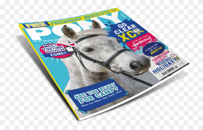 732x480 Magazine File Stallion, Advertisement, Poster, Flyer HD PNG Download