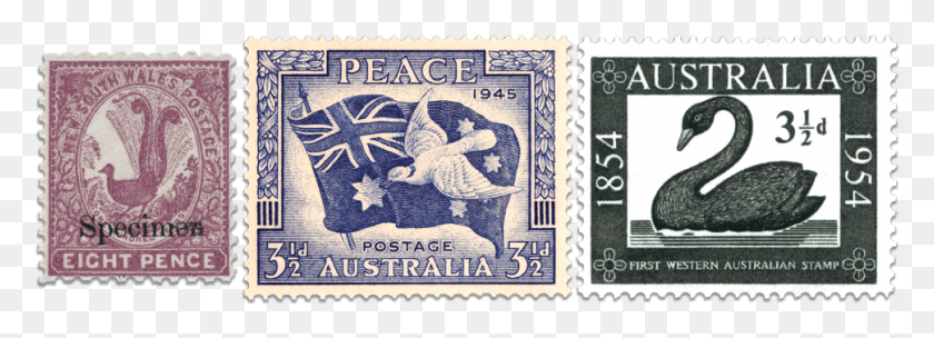 969x304 Magenta Lyrebird Colonial Stamp 1946 3 12d New South Wales Australia Emu Postage Stamp 2018, Bird, Animal, Rug HD PNG Download