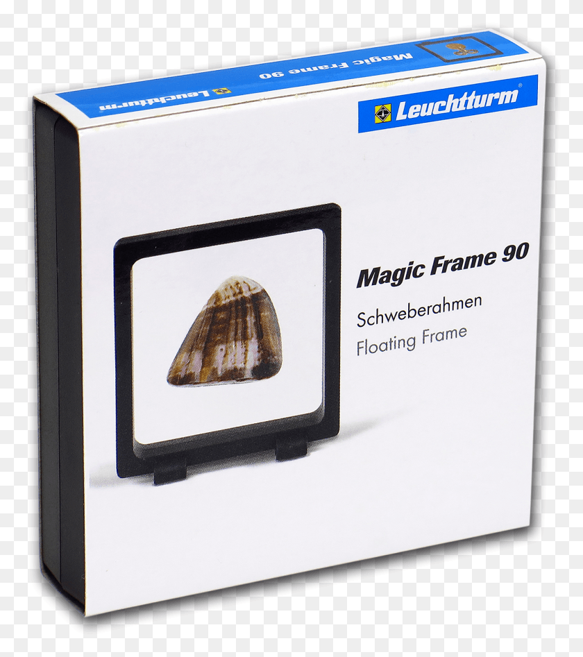 1272x1448 Magic Frame Display Box Cockle, Home Decor, Clam, Seashell Descargar Hd Png