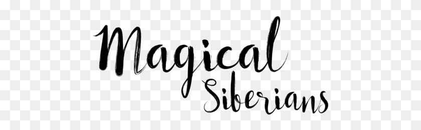 473x199 Magical Siberians Logo Calligraphy, Gray, World Of Warcraft HD PNG Download