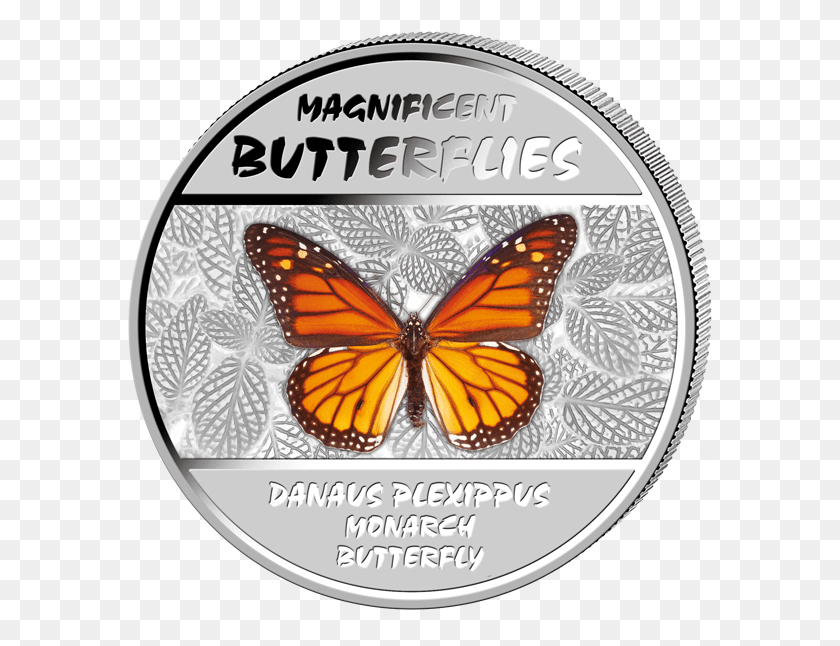 601x586 Magnificent Butterflies Silver Proof Coin Set With Monarch Butterfly Drawing Black And White, Insect, Invertebrate, Animal HD PNG Download