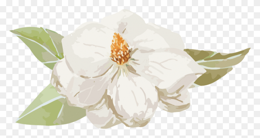 894x445 Magnolia Manor Is A Charming Greek Revival Home Originally Common Peony, Plant, Flower, Blossom HD PNG Download