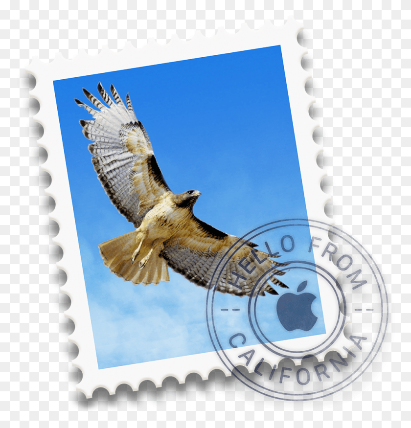 950x993 Descargar Png Mail App Jpg Icon Mac Mail App, Bird, Animal, Hawk Hd Png