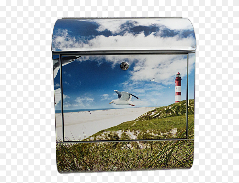 546x584 Mailbox Motif Maritime Lighthouse Seagull Water Briefkasten Maritim, Bird, Animal, Nature HD PNG Download