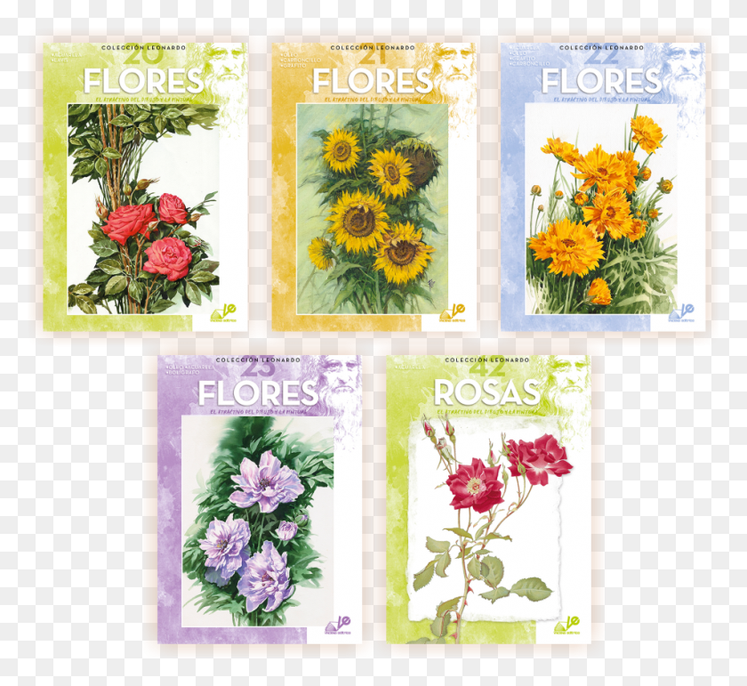 951x867 Maimeri Fiori Bouquet, Graphics, Floral Design HD PNG Download
