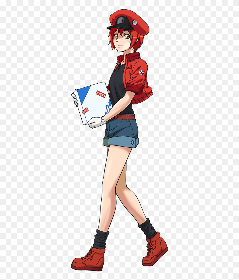 347x924 Main Characters Hataraku Saibou Red Blood Cell, Person, Human, Clothing HD PNG Download