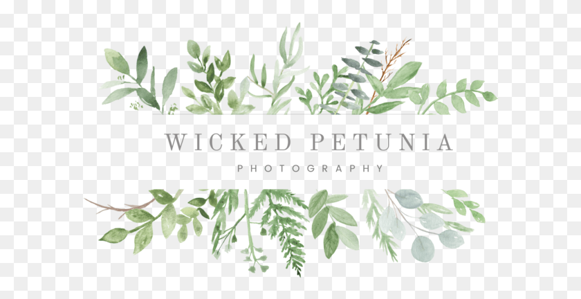 602x372 Main Logo 5c54d7a0c3b495 Greenery, Potted Plant, Plant, Vase HD PNG Download