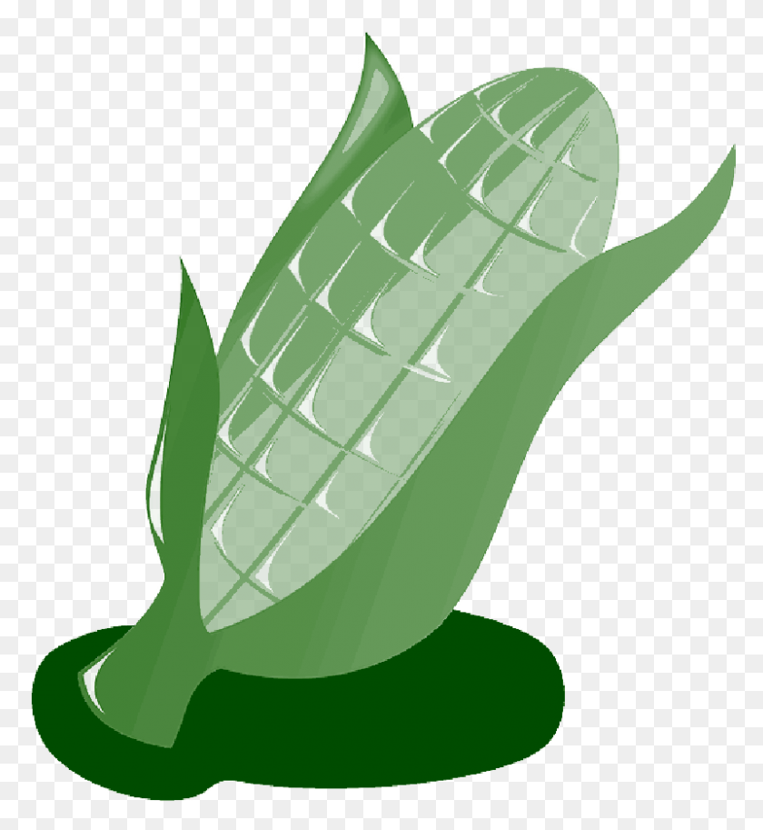 800x875 Иллюстрация Кукурузы, Растение, Овощи, Еда Hd Png Скачать
