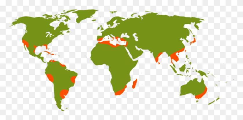 1123x513 Major Citrus Growing Regions World Map Unnamed, Plot, Map, Diagram HD PNG Download