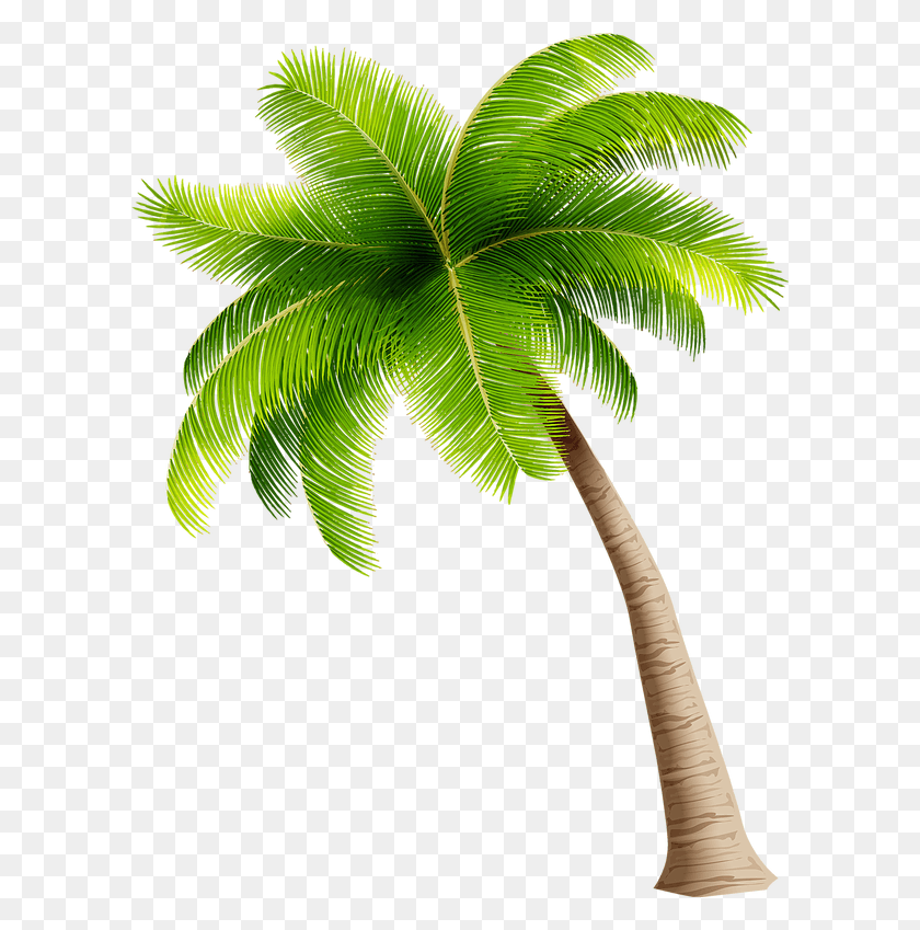 600x789 Make A Splash With The Family Coconut Tree Clipart, Leaf, Plant, Palm Tree HD PNG Download