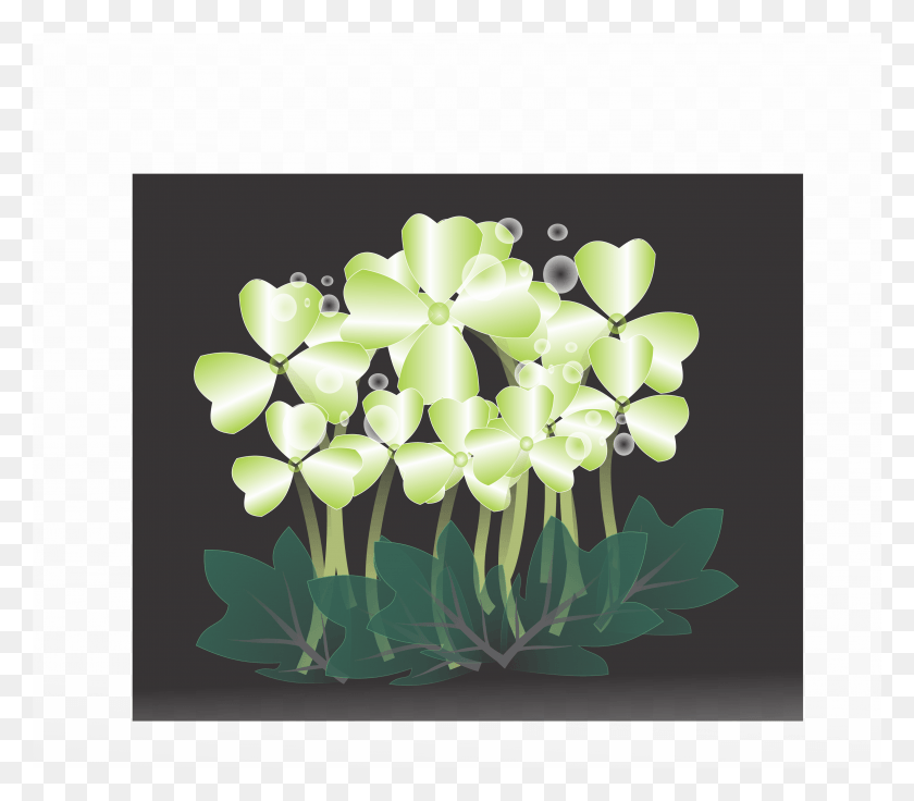 3103x2691 Make A Wish Jasmine, Plant, Flower, Blossom HD PNG Download