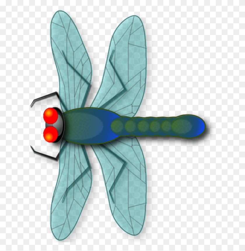 647x801 Make Your Own Dragonfly From Scratch Beginners, Insect, Invertebrate, Animal HD PNG Download