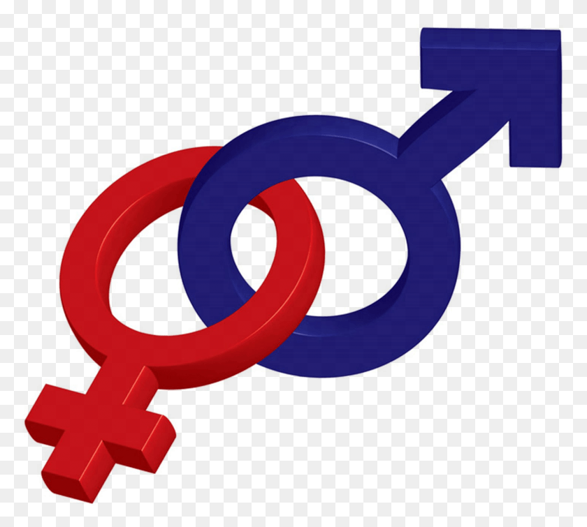 1461x1303 Male And Female Symbol Transparent Gender And Development Sign, Key, Cross, Symbol HD PNG Download