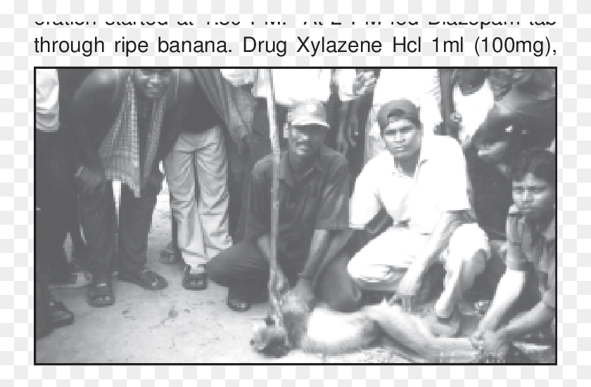 745x491 Male Hanuman Langur Of Khairput Baranga Photo Caption, Person, Human, People HD PNG Download