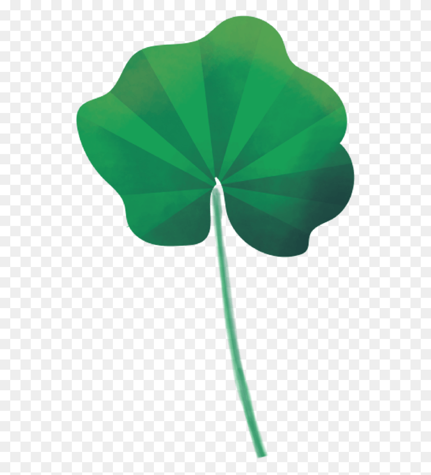 544x865 Иллюстрация Мальвы Хавива Селигсон, Растение, Цветок, Цветение Hd Png Скачать