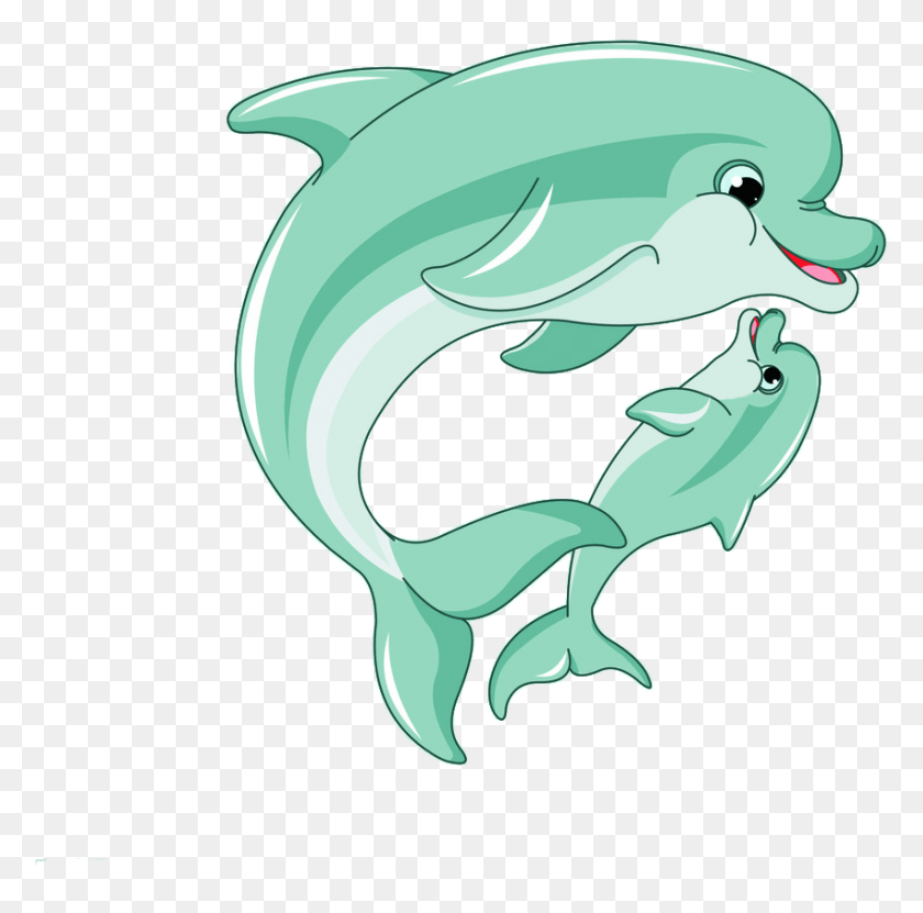 849x840 Mammal Clipart Spinner Dolphin Dolphin Cartoon, Sea Life, Animal, Helmet HD PNG Download
