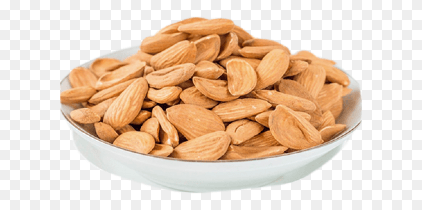 601x359 Mamra Almond, Plant, Nut, Vegetable HD PNG Download