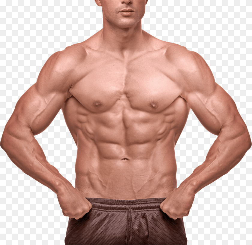 Man, Adult, Male, Person, Back Transparent PNG