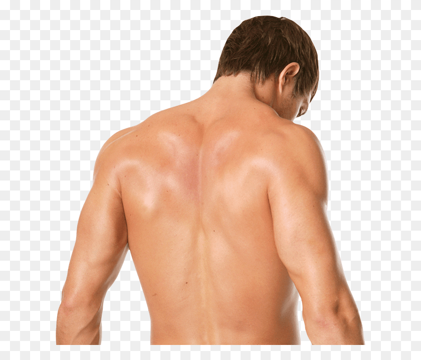 620x658 Man Hairless Back Bella As A Werewolf, Person, Human, Shoulder HD PNG Download