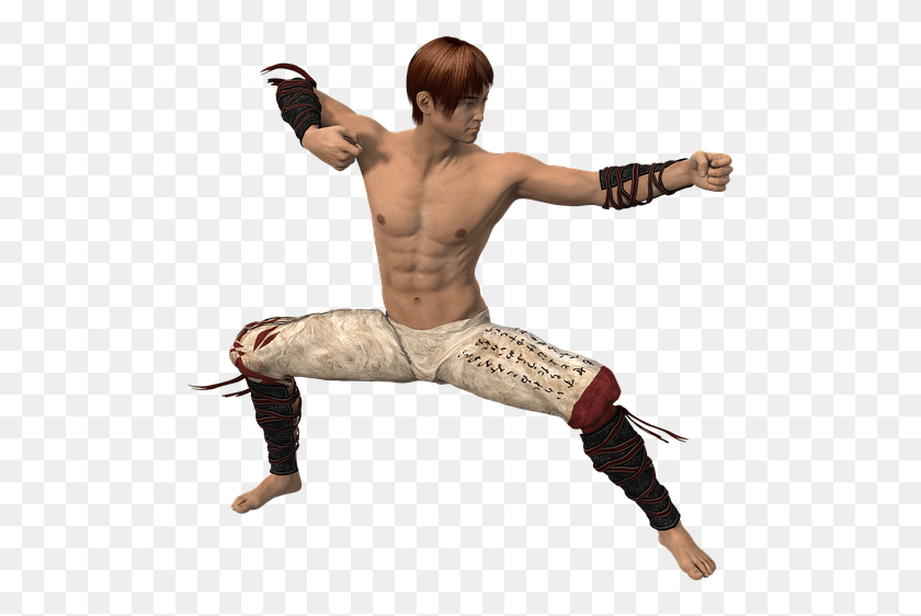 503x502 Man Pose Fig Fantasy Hair Beautiful Sport Martial Art Fighter, Person, Human, Back HD PNG Download