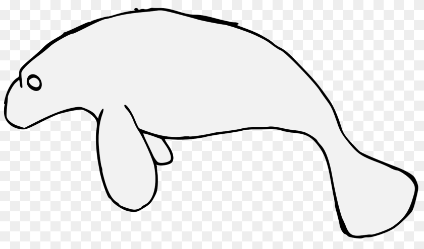 Manatee, Animal, Mammal, Baby, Person Clipart PNG