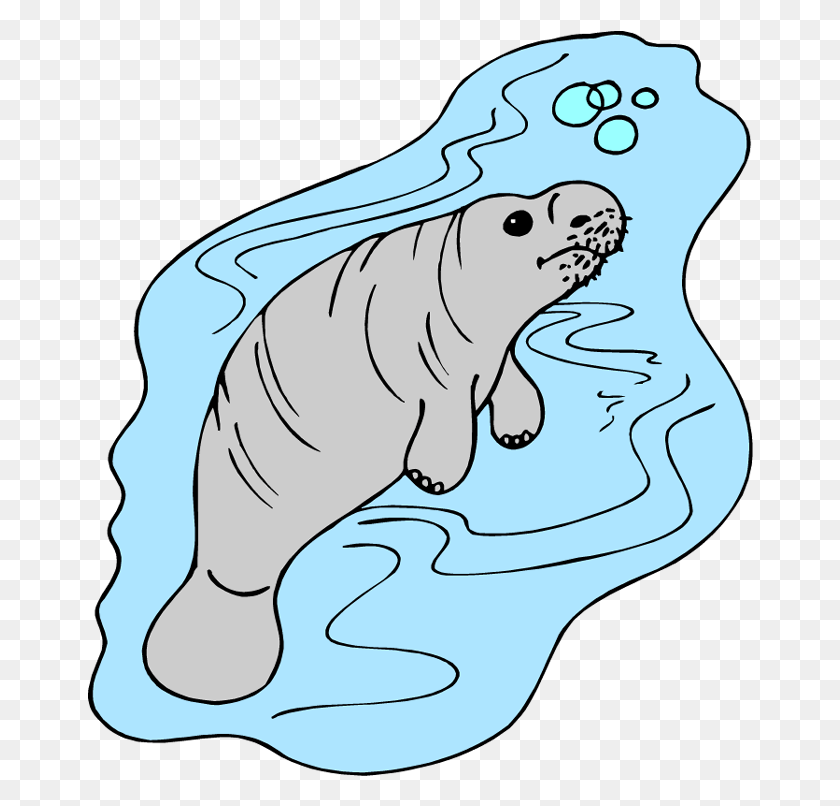 666x746 Manatee Clipart Cliparts And Others Art Inspiration Manatee, Animal, Mammal, Sea Life HD PNG Download