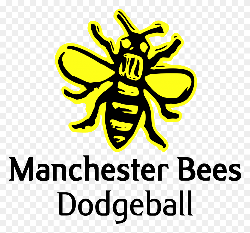 1920x1783 Manchester Bees Dodgeball Club Manchester Bees Dodgeball, Wasp, Bee, Insect HD PNG Download