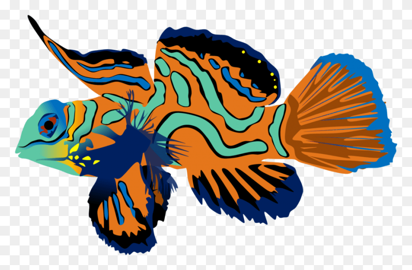 900x566 Png Мандаринская Рыба