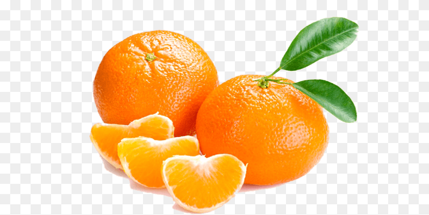 569x421 Mandarin Orange South African Nova Mandarin, Citrus Fruit, Food, Fruit, Plant PNG