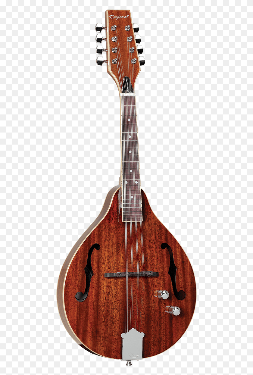 469x1185 Mandolin Twmtmhste Viola, Musical Instrument, Guitar, Leisure Activities HD PNG Download