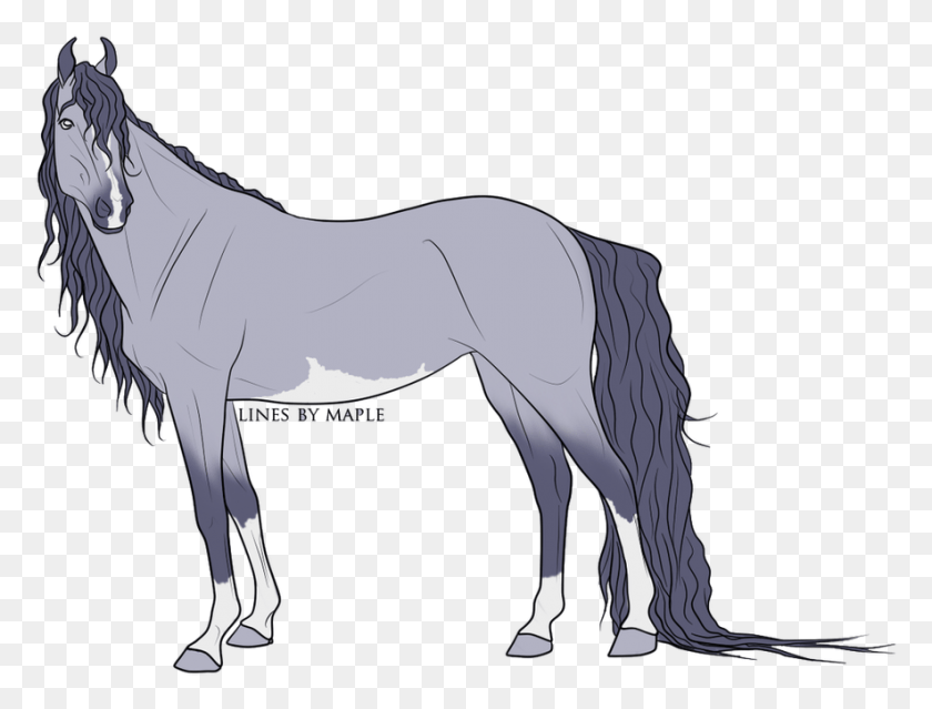 885x658 Caballo Png / Caballo Png