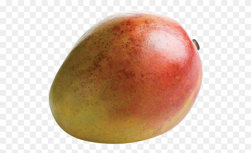 518x451 Mango 1 Count Mango, Plant, Apple, Fruit HD PNG Download