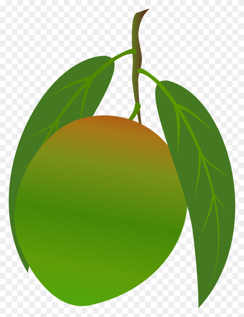 967x1280 Mango Clipart Food Green Mango Fruit, Tennis Ball, Tennis, Ball HD PNG Download